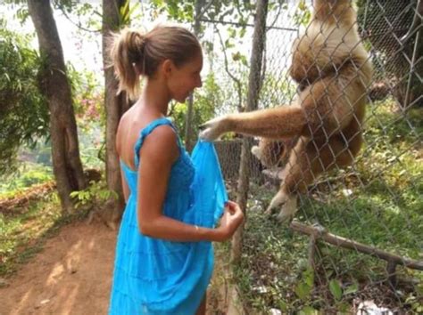 sexy video girl with animal